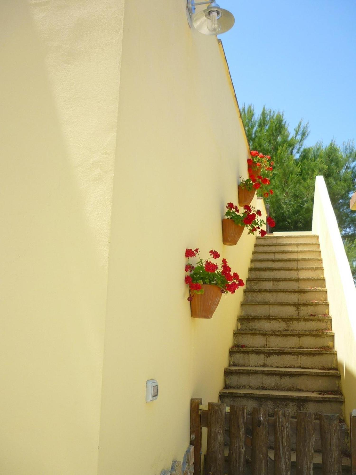 Agriturismo Tenuta La Siesta Галлиполи Экстерьер фото