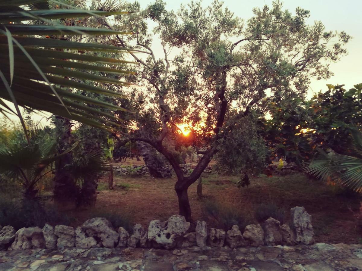 Agriturismo Tenuta La Siesta Галлиполи Экстерьер фото