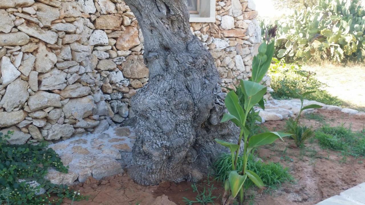 Agriturismo Tenuta La Siesta Галлиполи Экстерьер фото